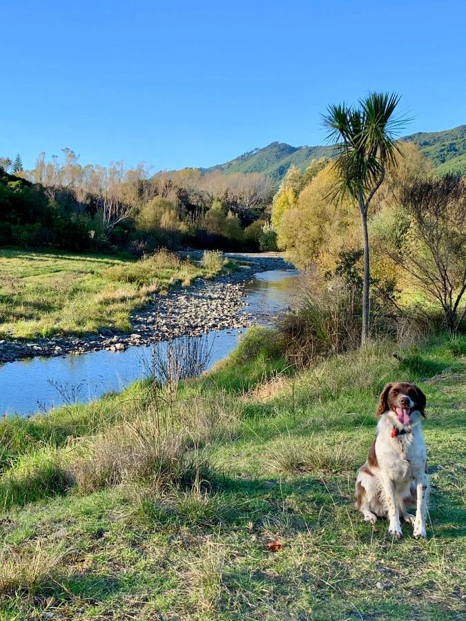 Aston Road Villa Bed&Breakfast Waikanae Esterno foto